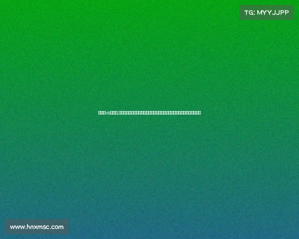 维迪斯vs兹沃勒,关注维迪斯足球俱乐部赛事亮点主场激战赛季回顾关键球员表现与未来展望